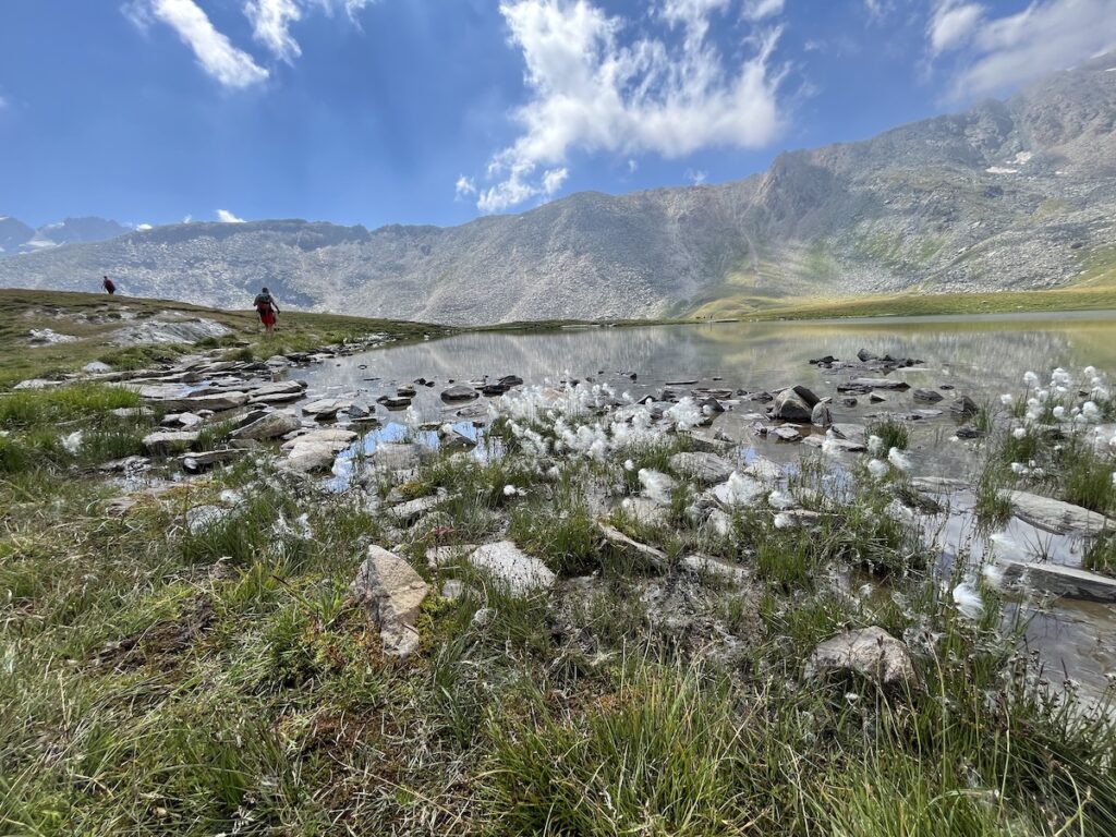 Luglio in chiaro scuro: gli stranieri contengono il calo di presenze e arrivi