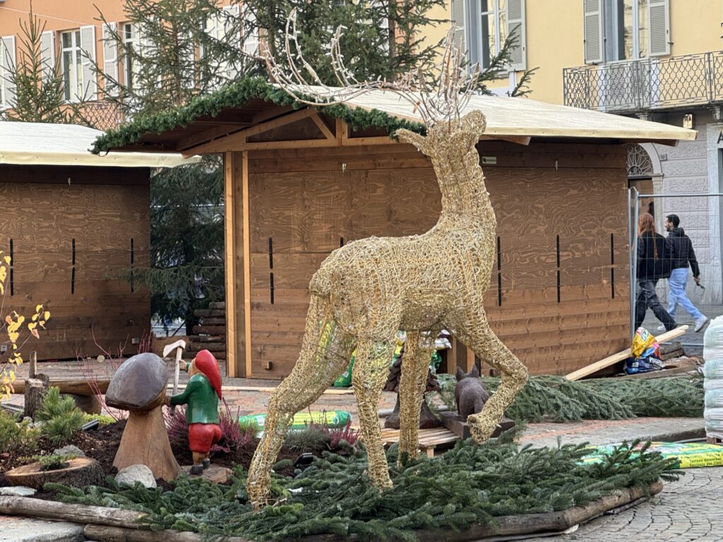 Marché Vert Noel