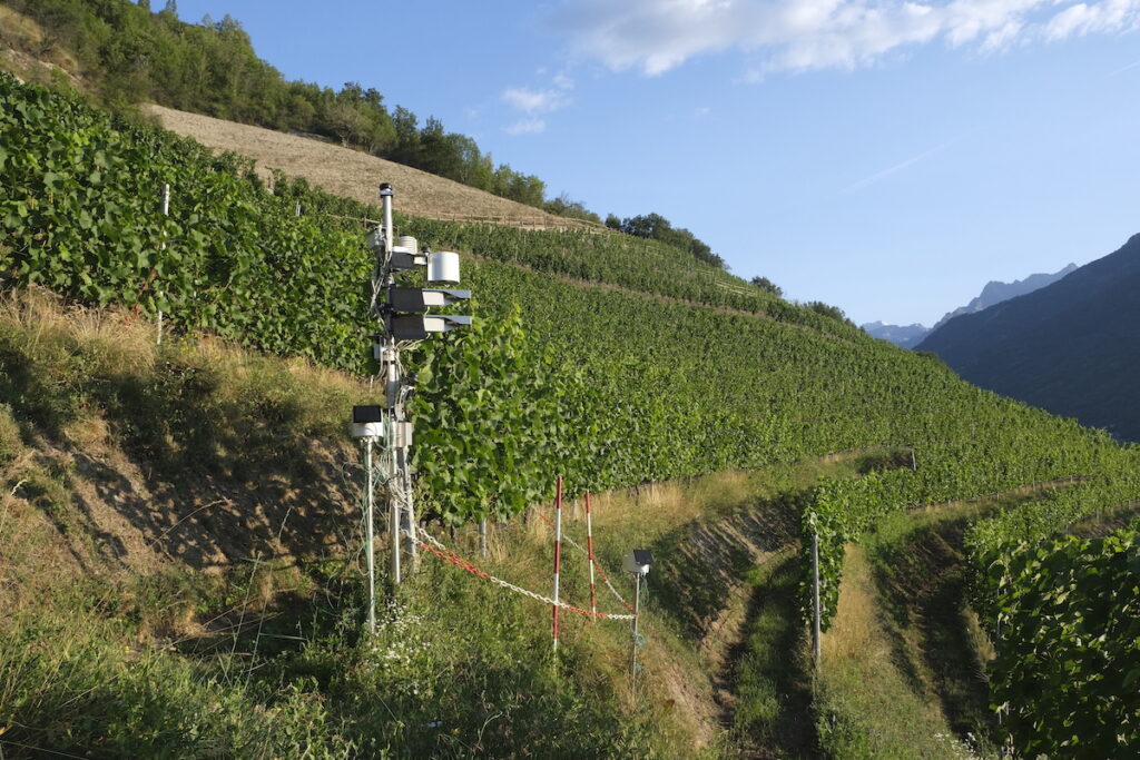 Stazione Monitoraggio Vigneti IAR[] copia