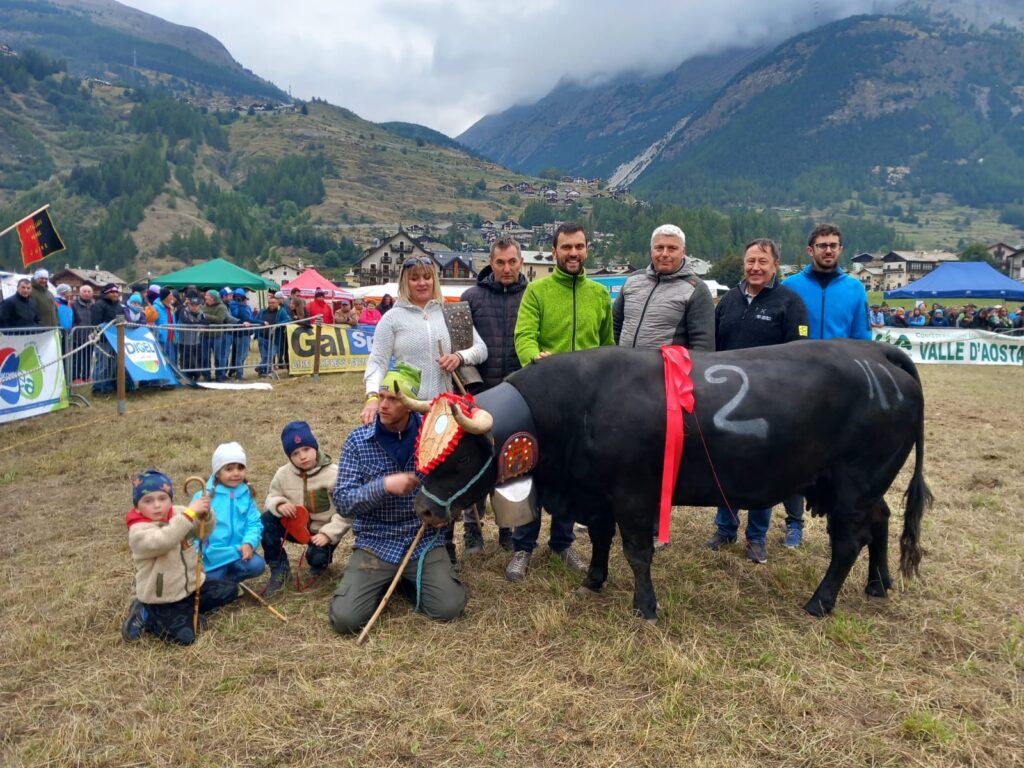 Vipère di Massimiliano Garin aveva messo in difficoltà a lungo Falchetta di Renzo Rosset all’ultima Regionale: la bovina di Cogne oggi ha vinto l’eliminatoria di casa nel terzo peso