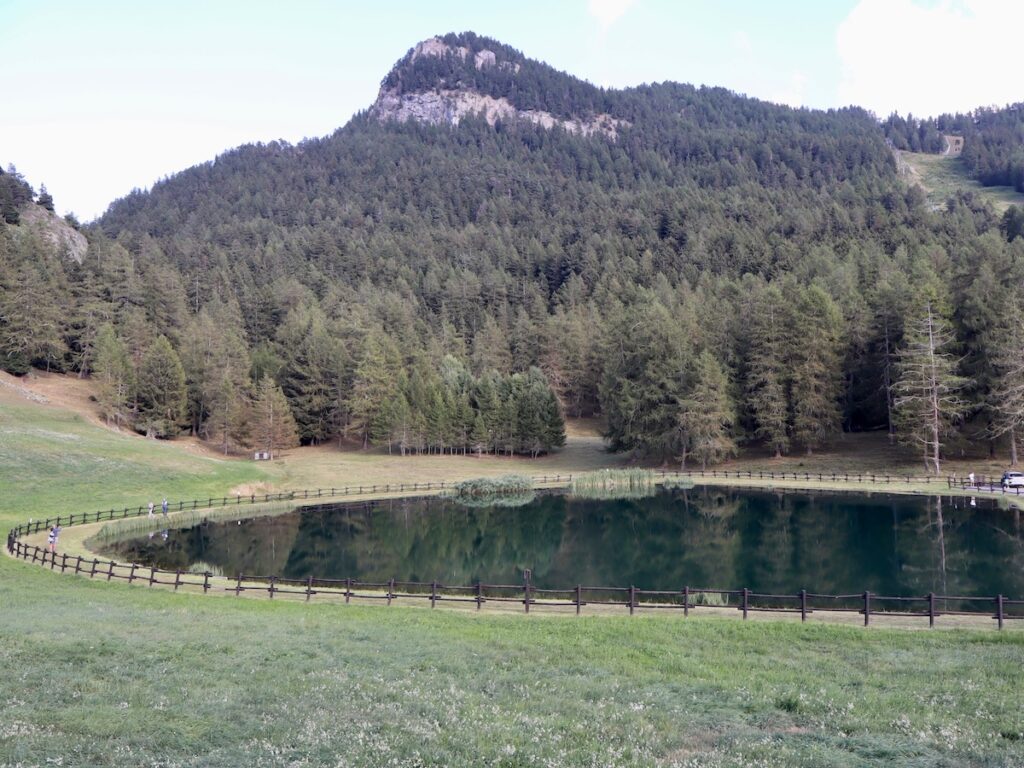 Col de Joux foto Alice Dufour