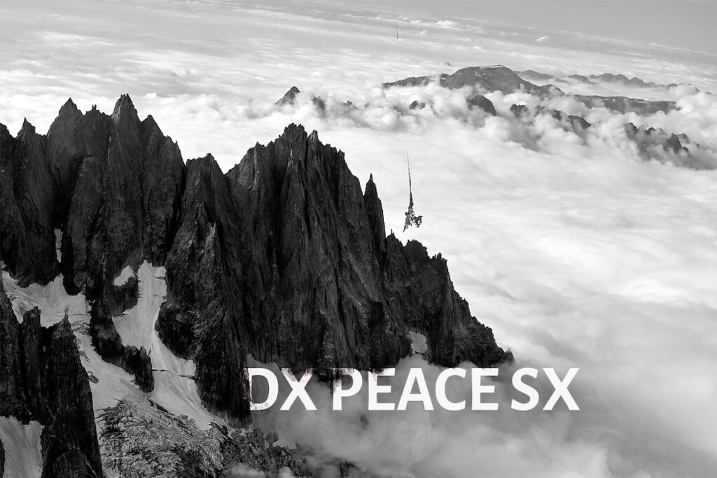 "Dx Peace Sx”, la colomba di Paolo Barichello