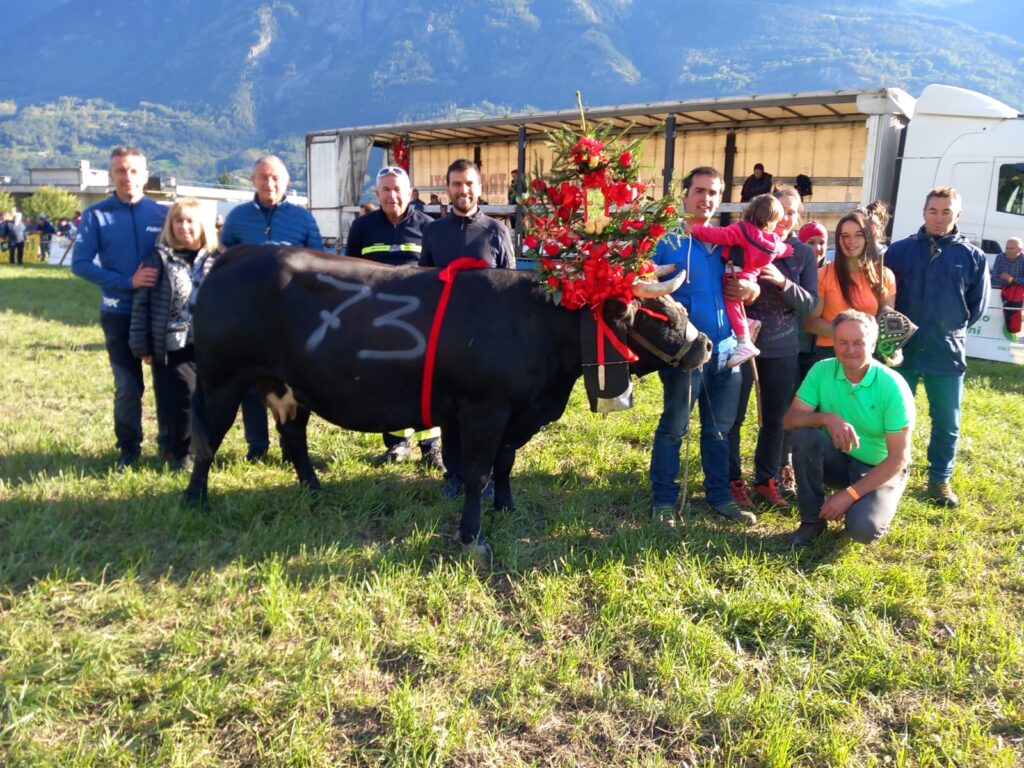 Vittoria sontuosa nel secondo peso a Saint-Christophe per Guerra dei fratelli Quendoz