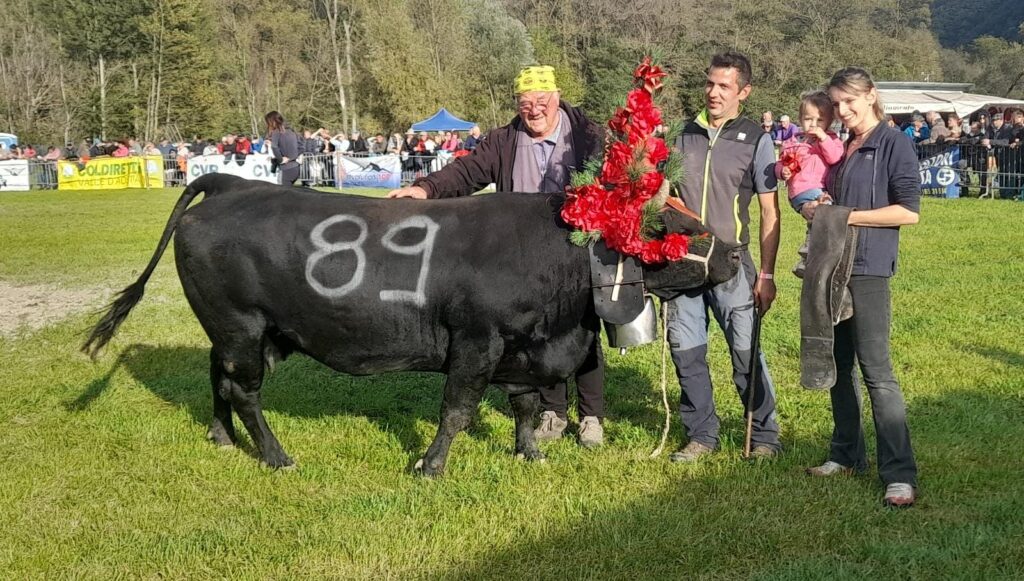 La società Lo Copafen di Chambave ha vinto in terza categoria con Negra, già terza nel 2023 nel corcorso di Brissogne