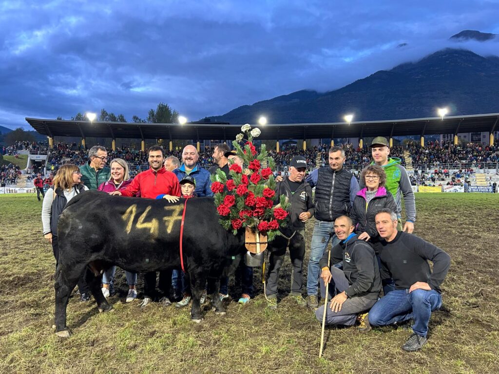 Falchetta di Renzo Rosset è la prima reina della storia a vincere tre titoli consecutivi in terza categoria