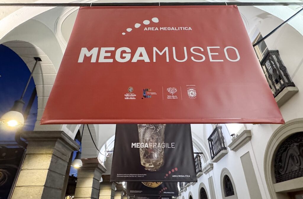 “MEGA MUSEO” le collezioni dell’Area Megalitica in macro-immagini