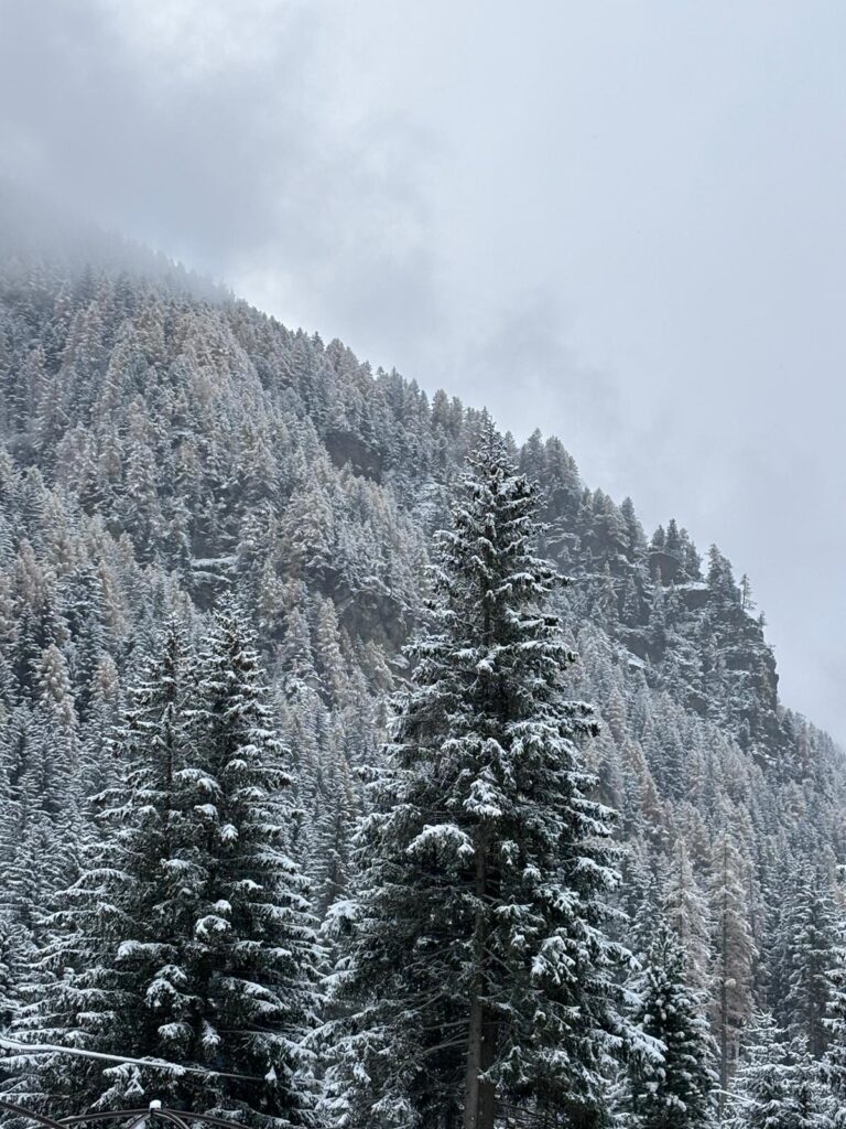 Champoluc