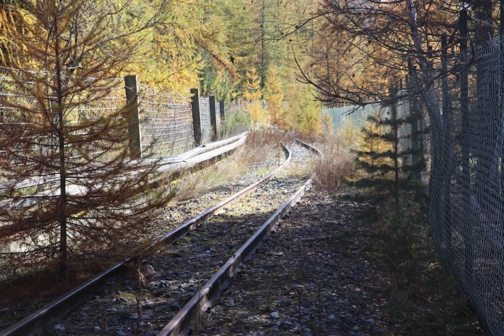 I binari del trenino di Cogne Foto Nicole Jocollé