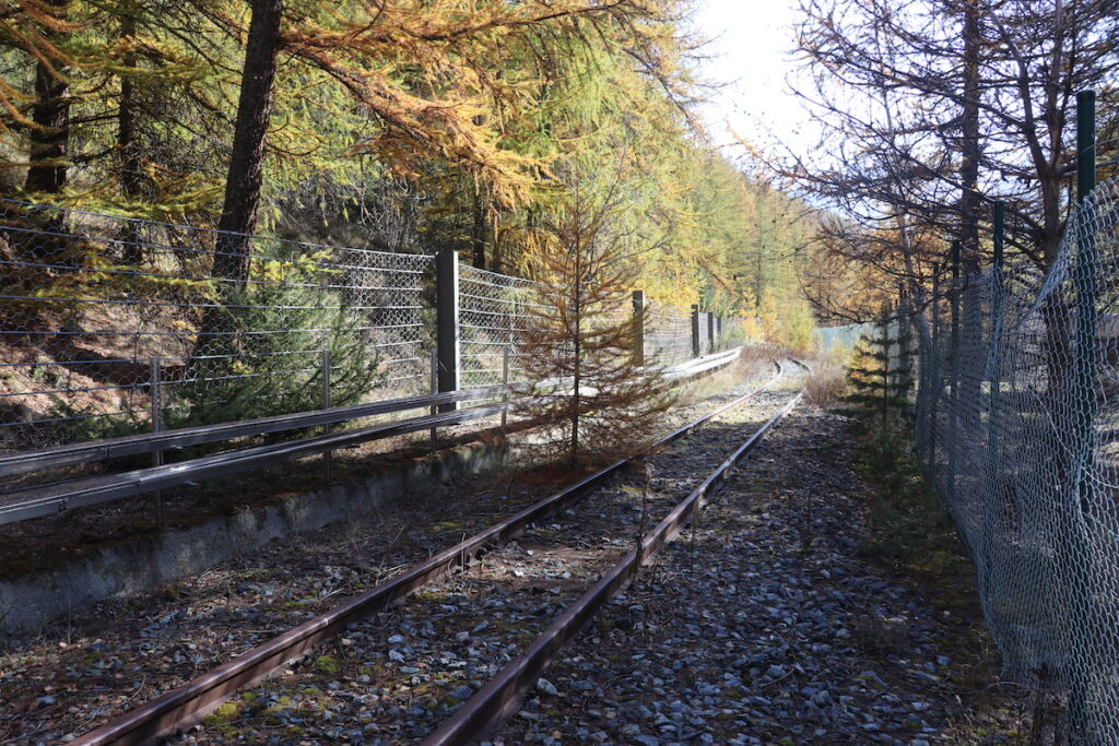 I binari del trenino di Cogne Foto Nicole Jocollé