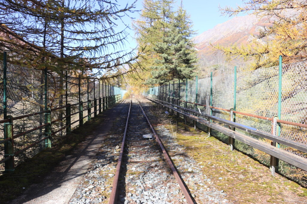 I binari del trenino di Cogne Foto Nicole Jocollé