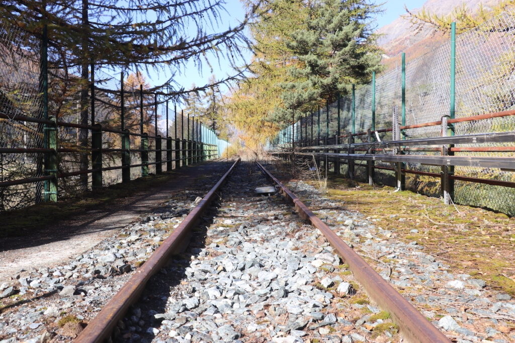 I binari del trenino di Cogne Foto Nicole Jocollé