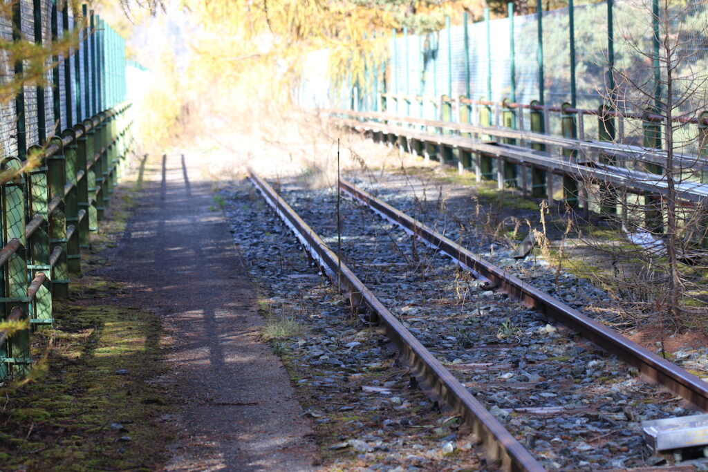 I binari del trenino di Cogne Foto Nicole Jocollé