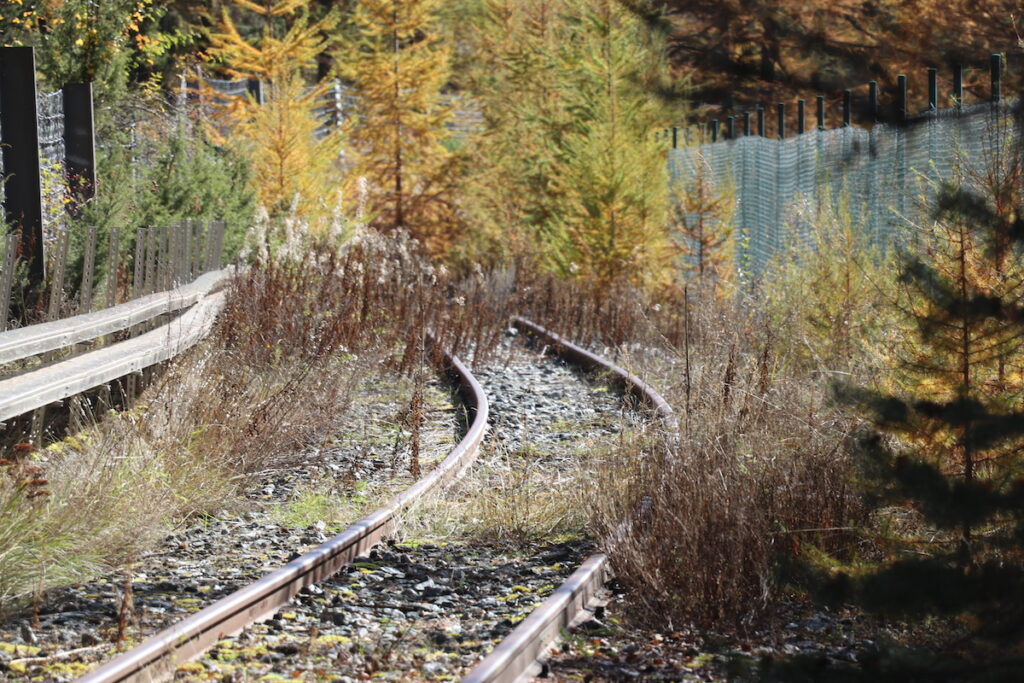 La tratta del trenino di Cogne