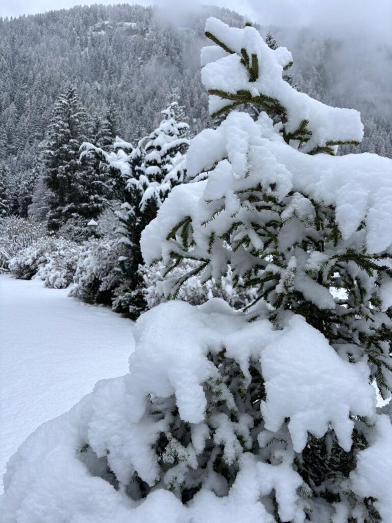 Neve Champoluc