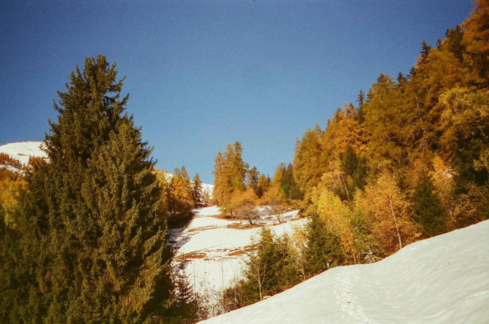 val ferret @luca maledet