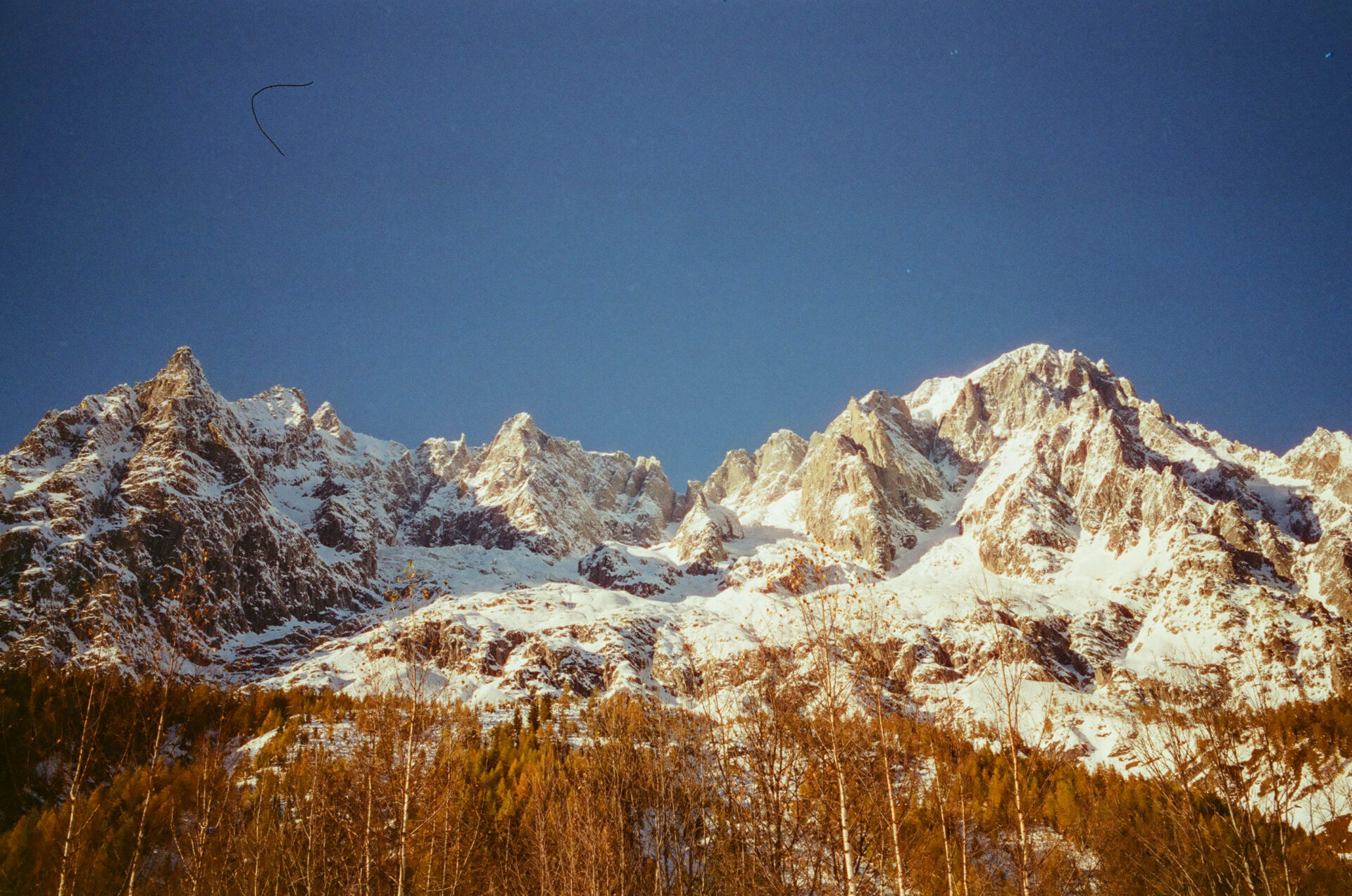 val ferret @luca maledet