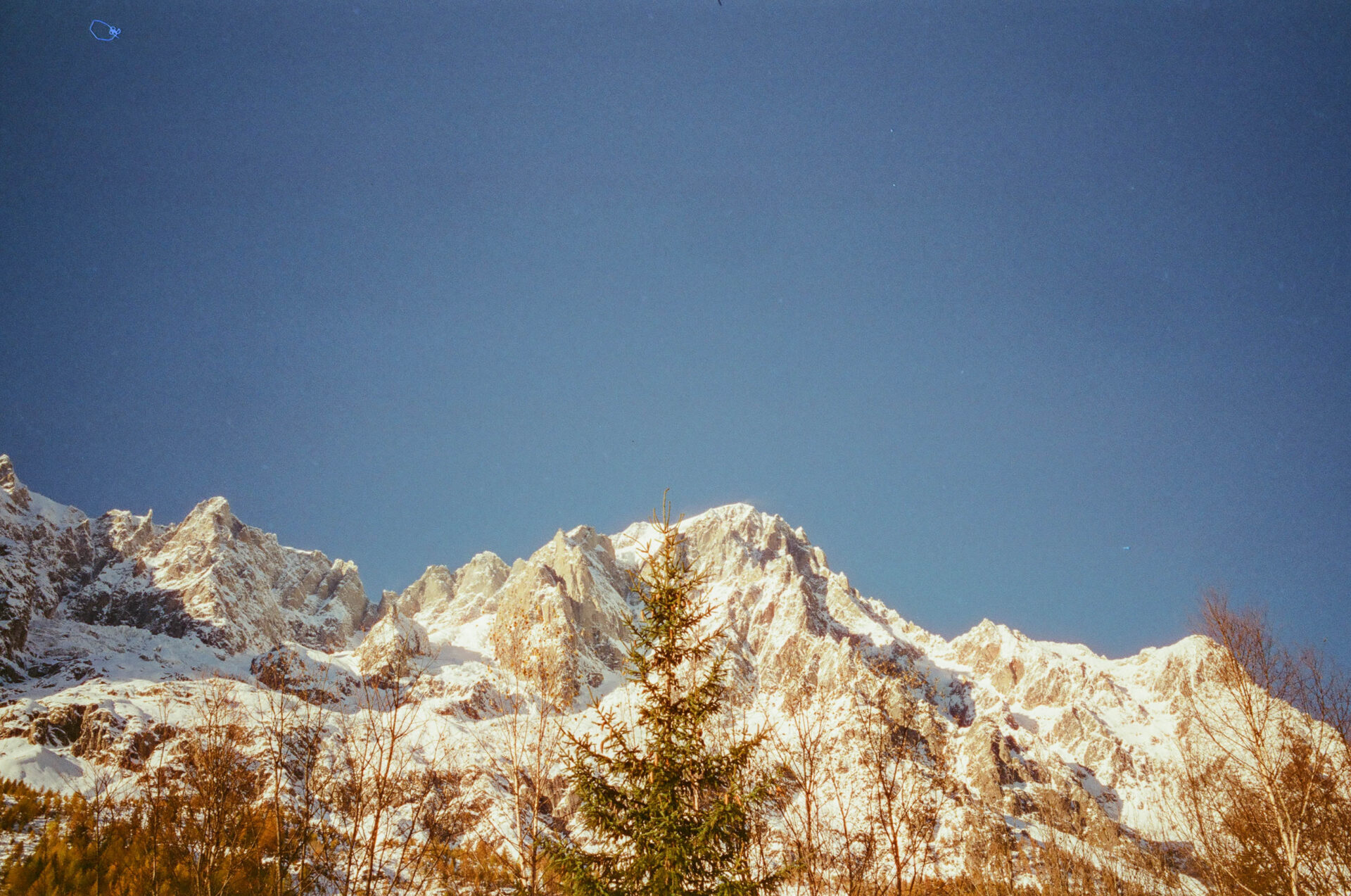 val ferret @luca maledet