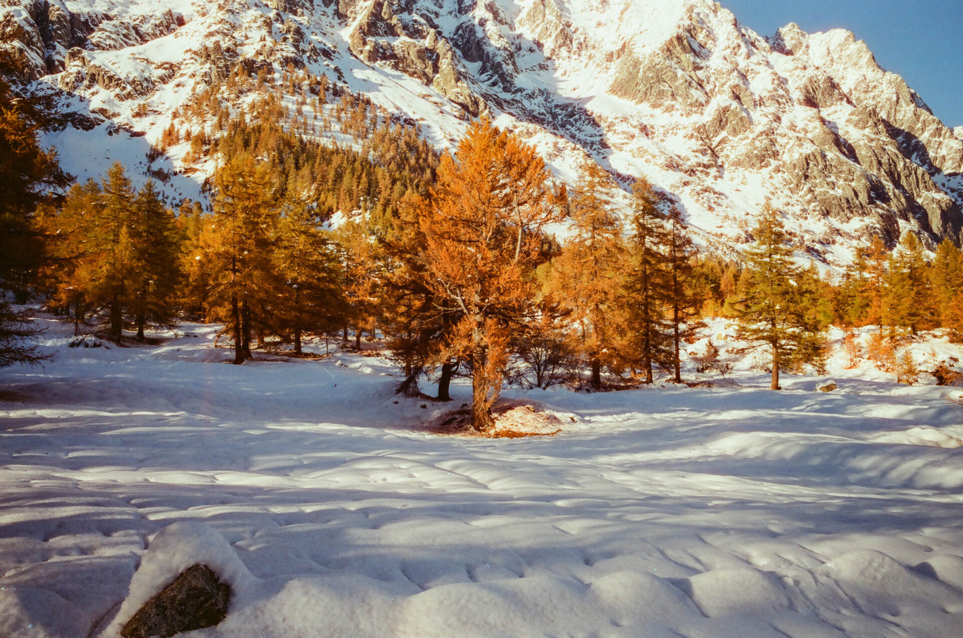 val ferret @luca maledet