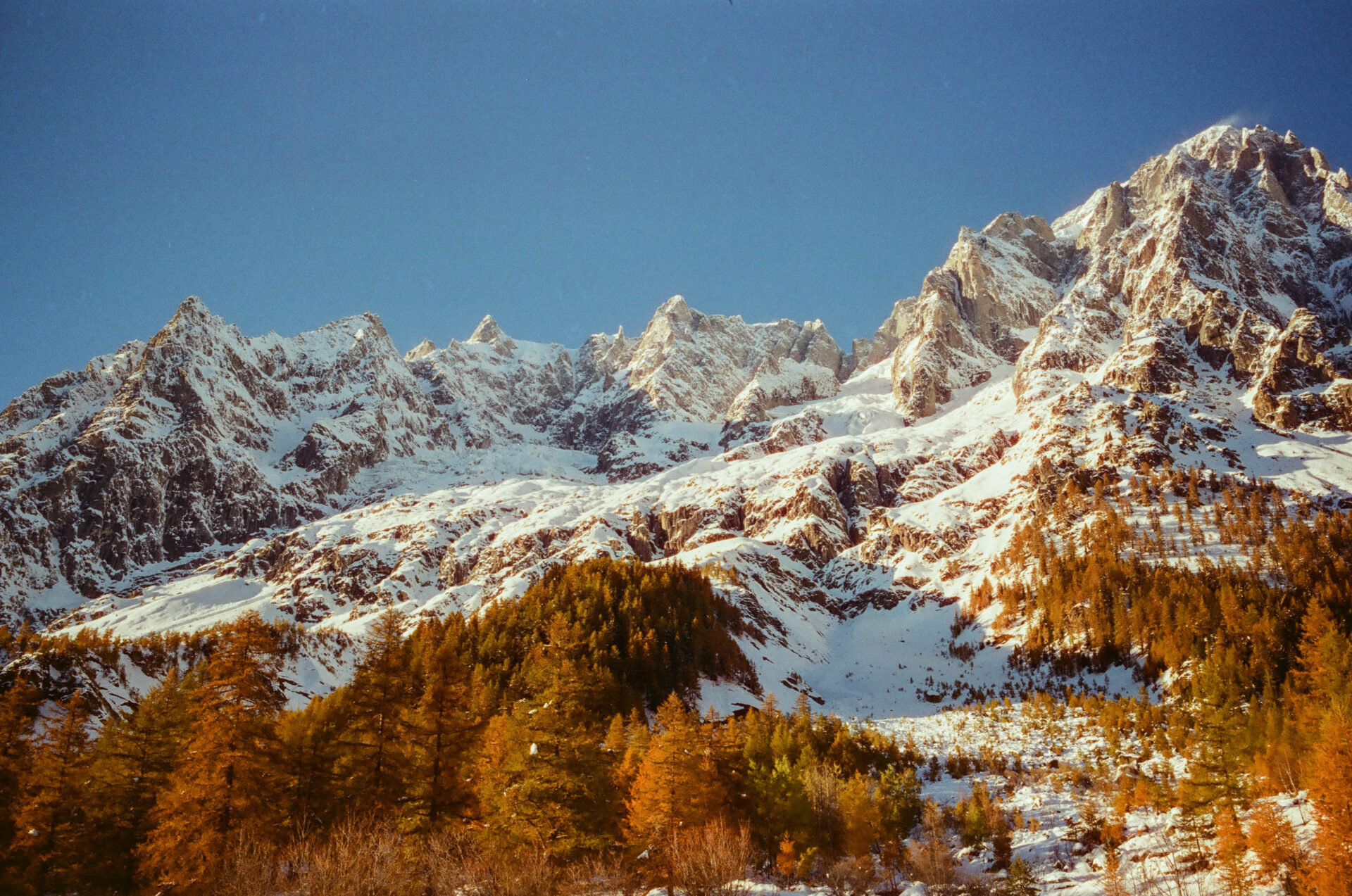 val ferret @luca maledet