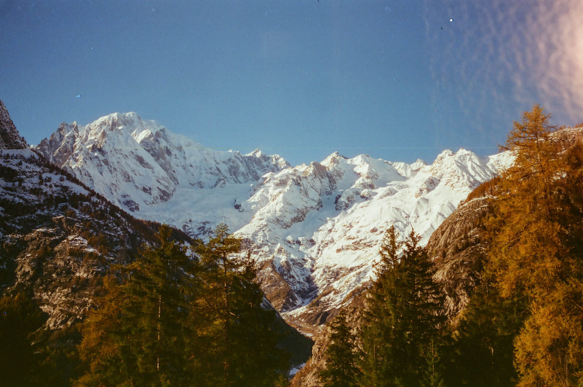 val ferret @luca maledet