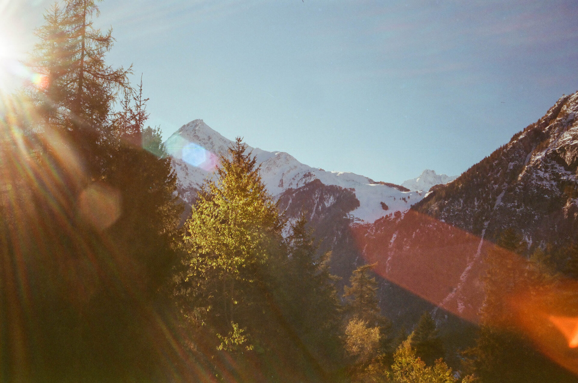 val ferret @luca maledet