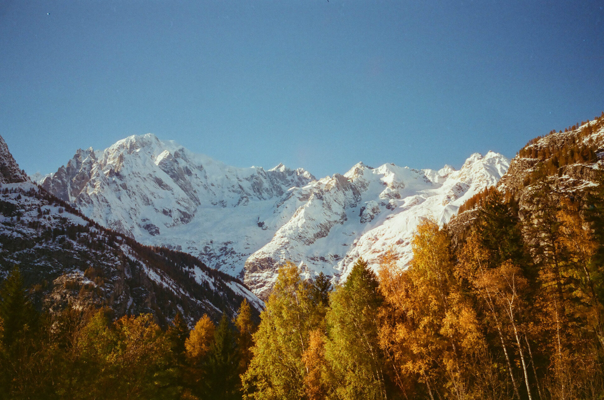 val ferret @luca maledet