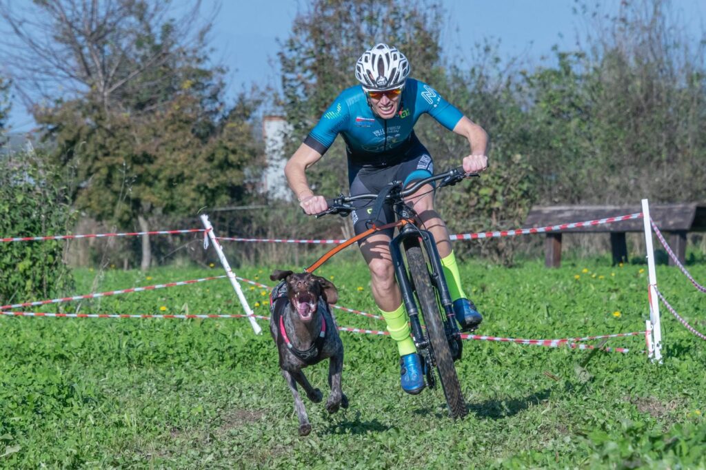 Alex Ascenzi è campione italiano di bikejoring insieme al cane “Ice”.