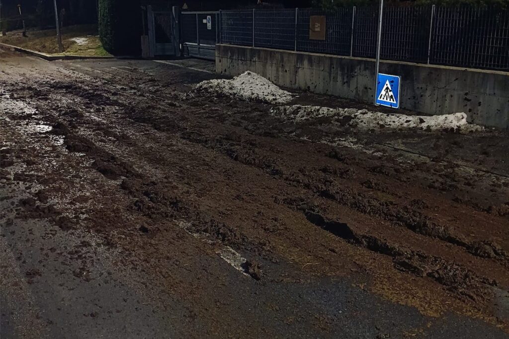 Letame riversato accidentalmente a Saint-Marcel. La strada è nuovamente praticabile