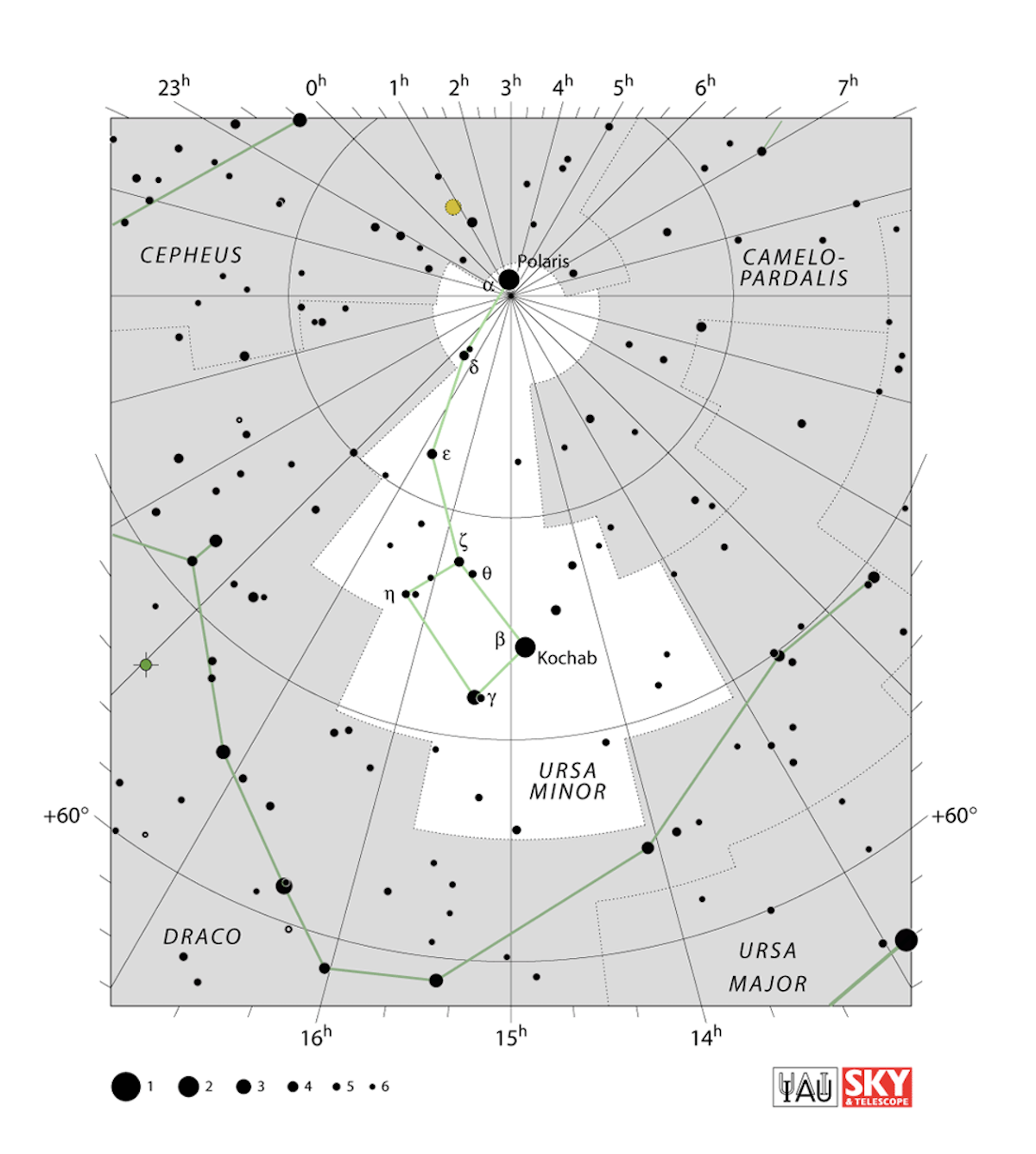 La costellazione dell’Orsa Minore: in evidenza la sagoma del Piccolo carro. Credit: IAU/ SKY & Telescope