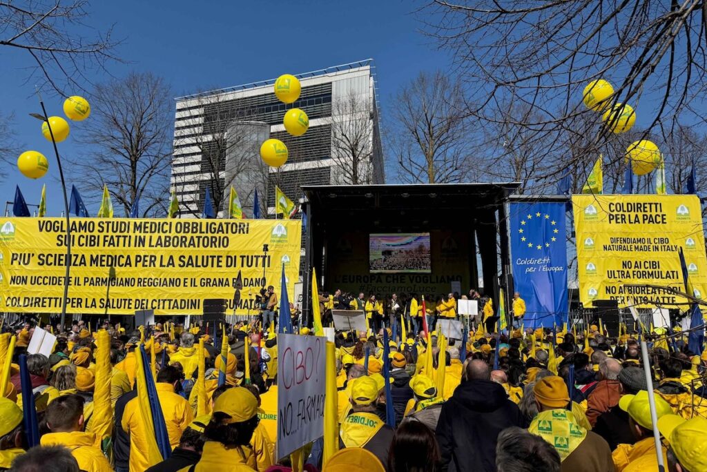 Manifestazione Parma