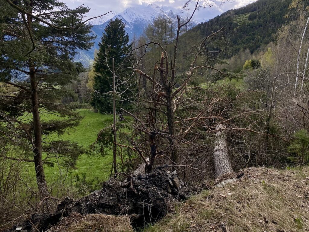 Albero caduto sentiero smottamenti alluvione frane