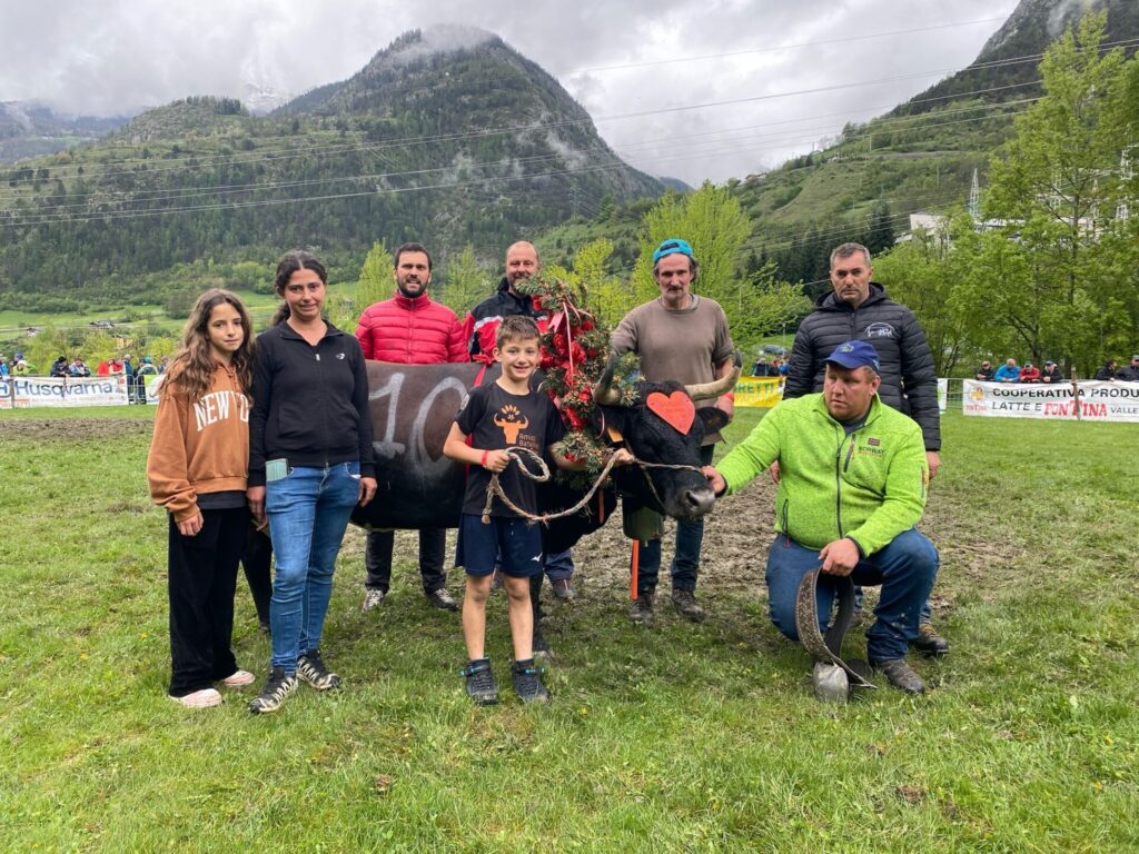 Zara di Ivan Hérésaz ha dominato il concorso di terzo peso: premiata per la combattività a Chamonix 2022, è stata terza all’ultima Regionale