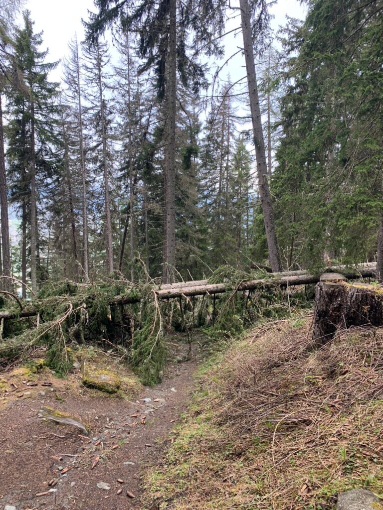 Alberti caduti percorso runthroughtrails pila