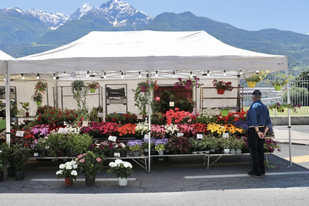 Foire Internationale des Alpes