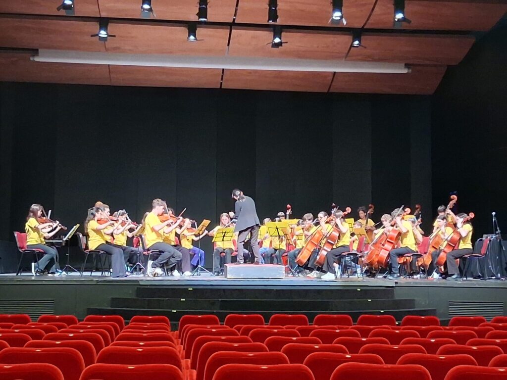 Orchestra Suzuki