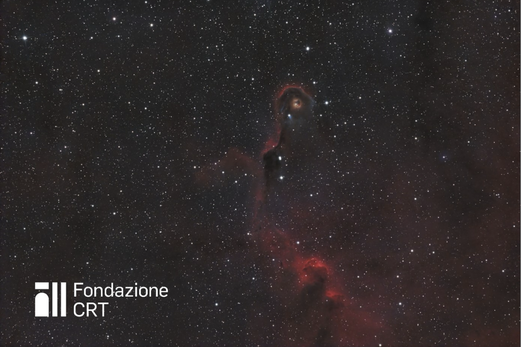 La nebulosa oscura vdB 142, detta Proboscide di elefante ripresa dalle piazzole dell’Osservatorio Astronomico della Regione Autonoma Valle d’Aosta. Cortesia Francesco Soldano per la Fondazione C. Fillietroz-ONLUS