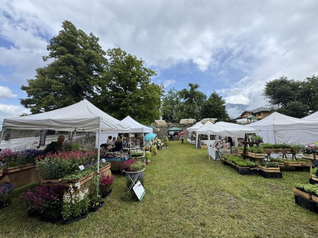 Marché aux Fleurs Aymavilles