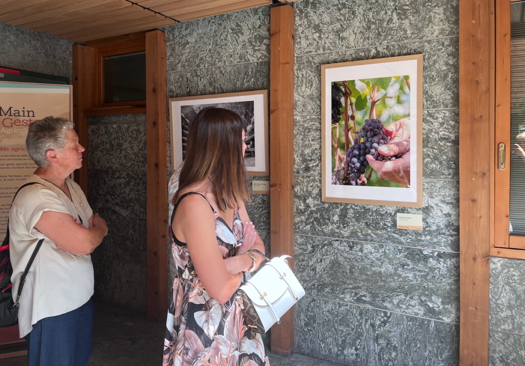 Presentazione pubblicazione Agricoltura e inaugurazioen mostra