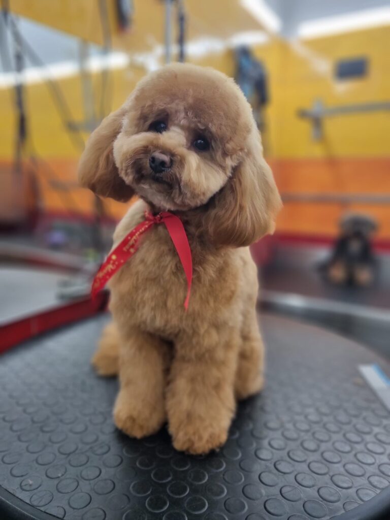 Snoopy
