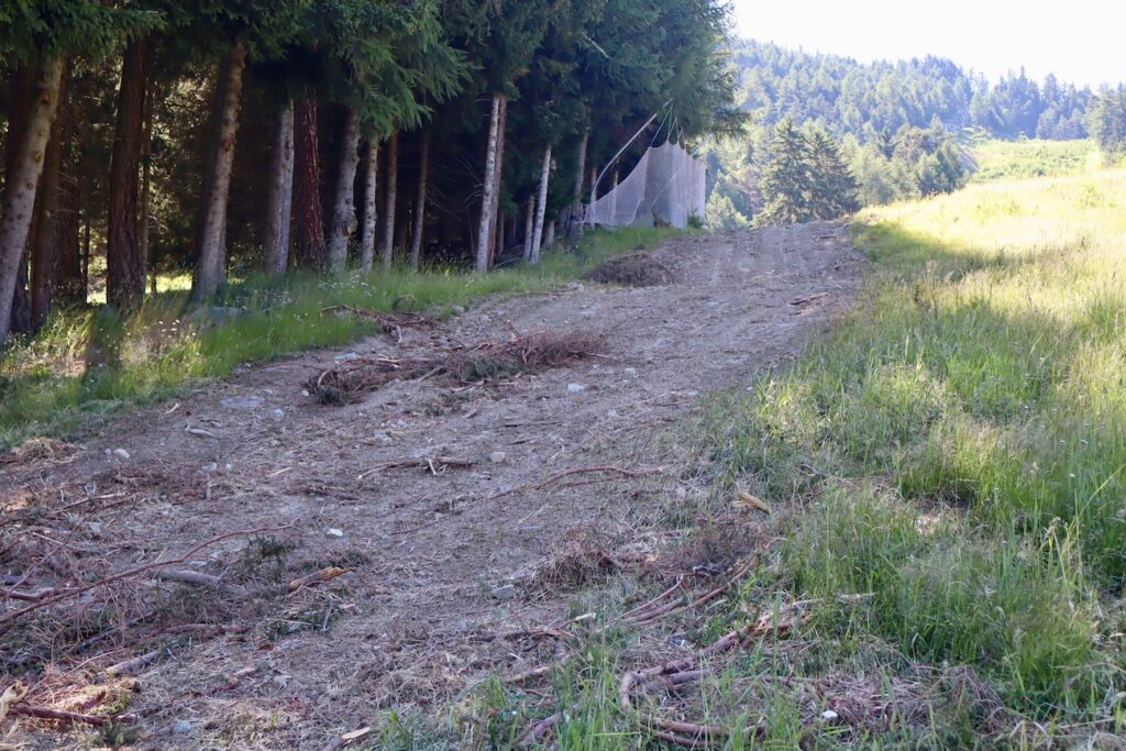 Col de Joux Foto Alice Dufour