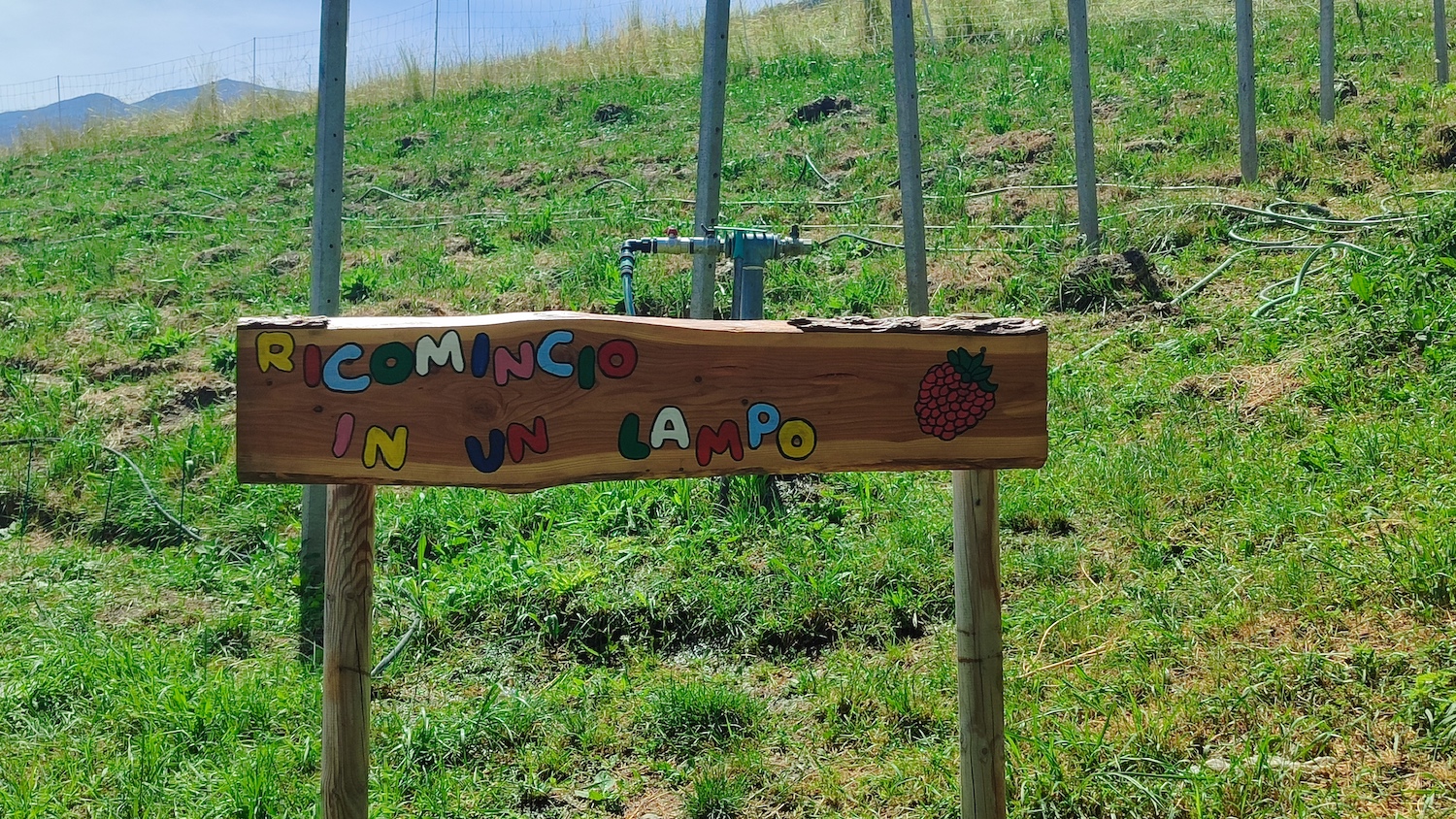 Tandem La Petite Ferme du bonheur