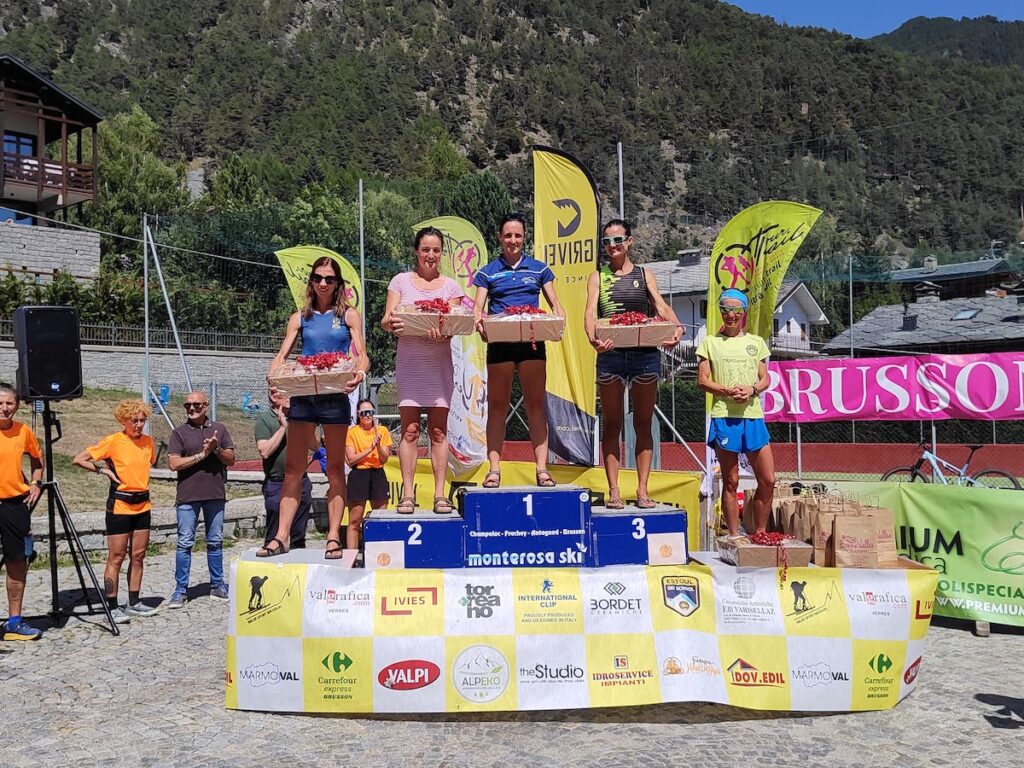 Vertical Brusson donne