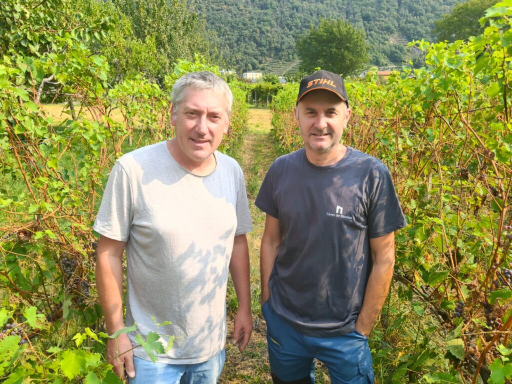 I viticoltori Luciano Zoppo Ronzero e Vittorio Costabloz