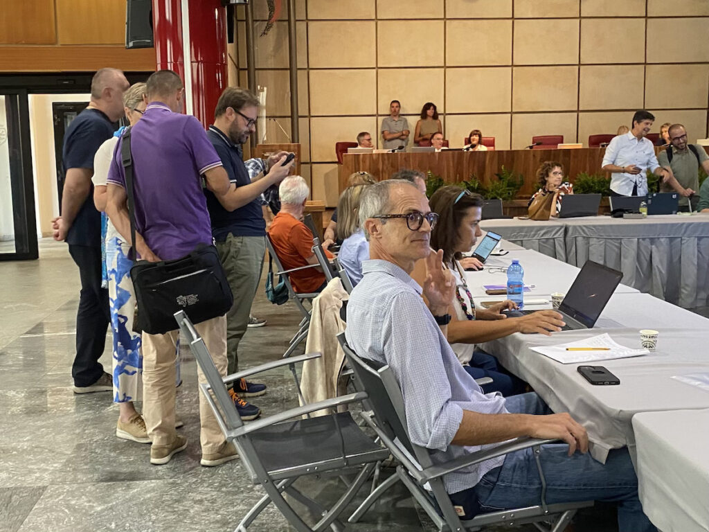 Referundum confermativo