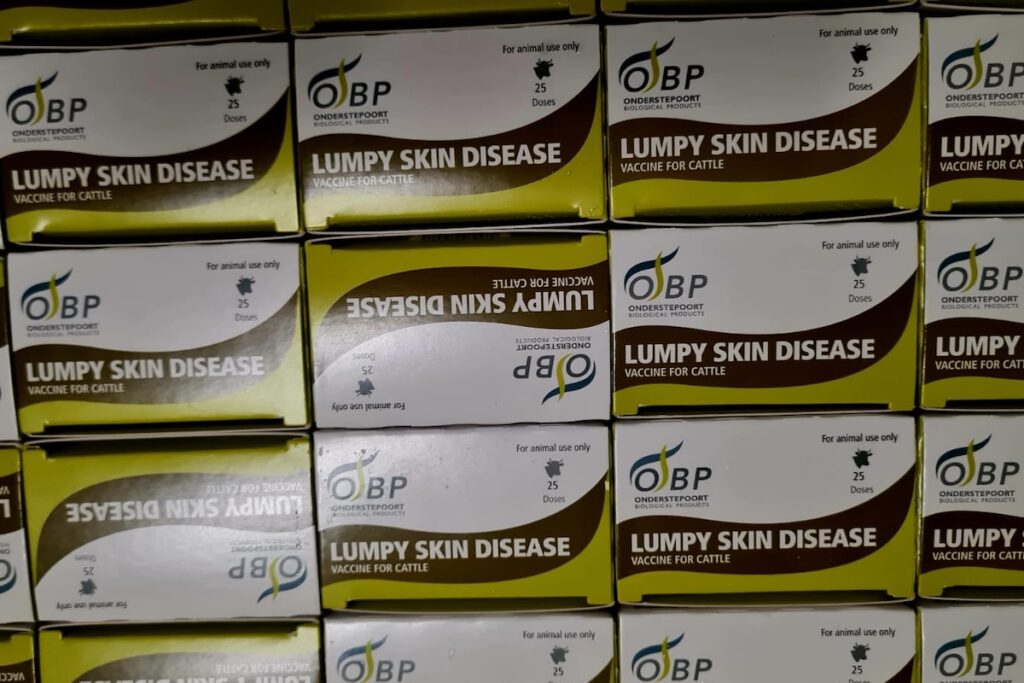I vaccini per la dermatite nodulare contagiosa arrivati al "Parini"