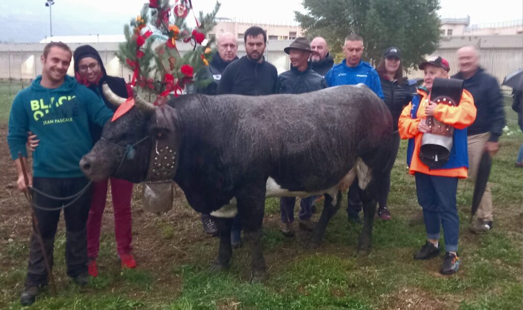 Pinson di Jadir Vallet, vincitrice in prima categoria