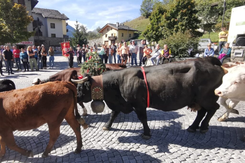 La Désarpa di Vertosan