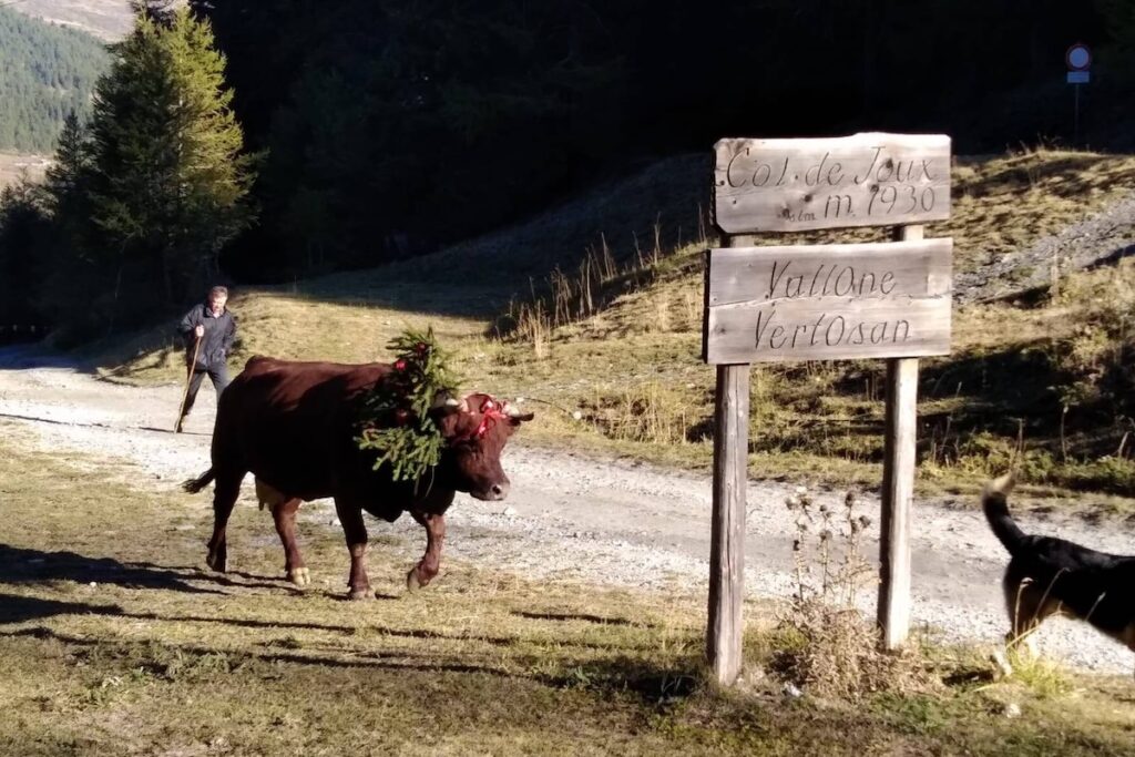 La Désarpa di Vertosan