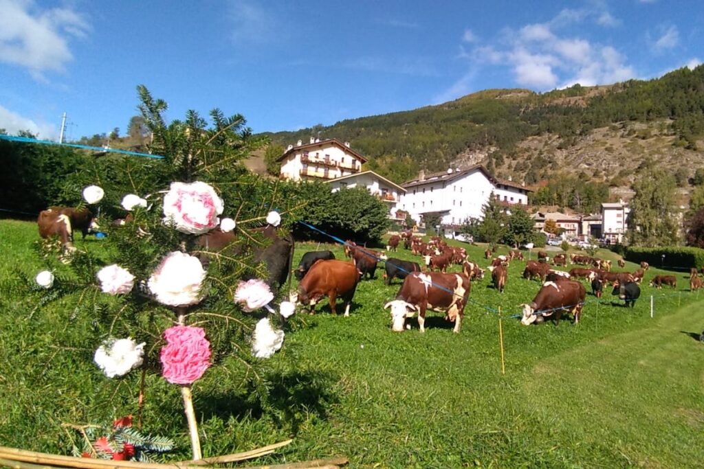 La Désarpa di Vertosan