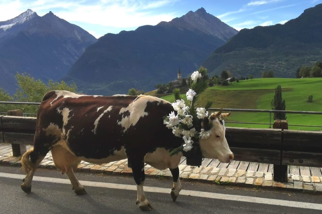 La Désarpa di Vertosan